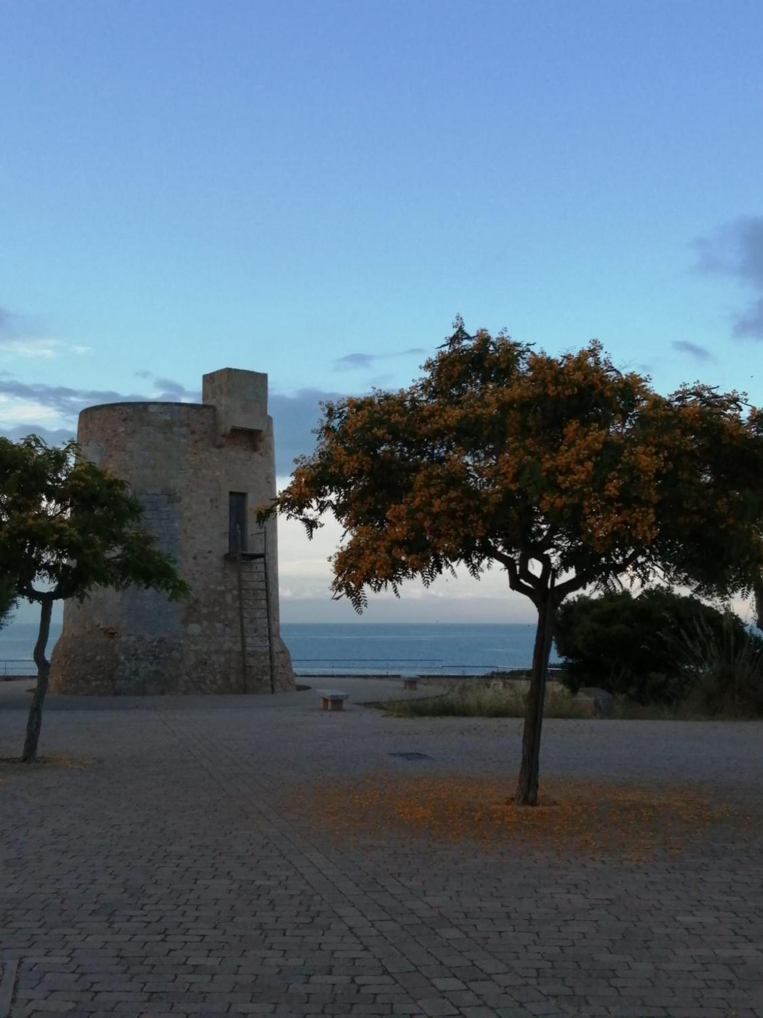 Apartamento Jordi Apartment Cala Figuera  Exterior photo